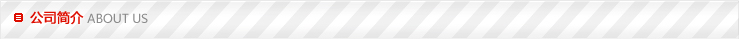 公司簡(jiǎn)介